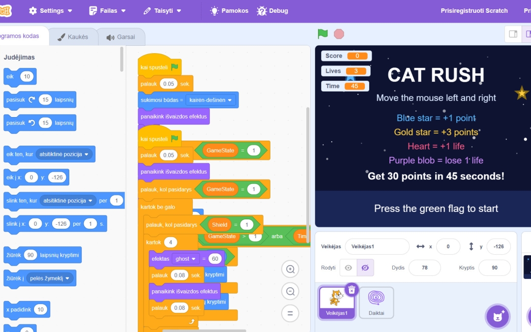 Projektas “Cat Rush”