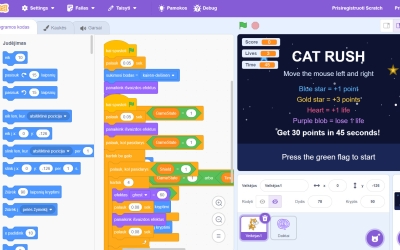 Projektas “Cat Rush”